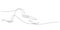 continuous line drawing of birds flying freedom peaceful minimalist