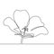 Continuous line drawing of blossom rising flower minimalism design