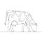 Continuous line drawing Cow on pasture Grazing cow icon vector illustration concept