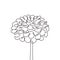 Continuous line drawing of flower minimalism vector illustration. Hand drawn botanical artwork isolated on white background