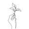 Continuous line drawing of hand holding growing plant. hand`s person hand hold leaves minimalism hand drawn on white background.