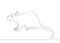 Continuous line drawing rat mouse