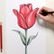 Continuous Line Drawing Of A Red Tulip: Victorian-inspired, Hyper-realistic Illustration