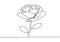 Continuous line drawing of rose flower botanical. Vector illustration of flowers plant minimalism style. Simplicity botanic garden