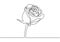 Continuous line drawing of rose flower botanical. Vector illustration of flowers plant minimalism style. Simplicity botanic garden