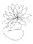 Continuous line drawing of a water lilly flower Nymphaeaceae July birth Flower