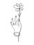 Continuous line drawing. A woman s hand holds a flower, a leaf of a clover. Aesthetic drawing for a logo, beauty salon, eco goods