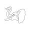 Continuous line elephant head. one line vector illustration