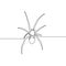 Continuous line spider on white bakcground. One line spider. Vector illustration.