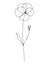 Continuous line violet floral drawing, Viola February birthflower, vector