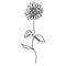 continuous lines, sunflowers, beautiful flower ideas for posters, wall art, tote bags, mobile cases, t-shirt printing