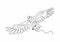 Continuous one line drawing of eagle or hawk bird vector, Illustration minimalism birds flying on the sky. Concept of freedom