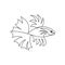 Continuous one line drawing. Exotic fish. Hand drawn vector illustration on white background