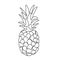 Continuous one line drawing pineapple. Vector illustration. Black line art on white background. Cartoon pineapple