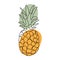 Continuous one line drawing pineapple. Vector illustration. Black line art on white background with colorful spots.