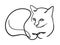 Continuous one line drawing of satisfied cat lies on a white background. Simple drawing happy domestic cat lying