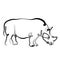 Continuous one line hand drawing rhinoceros rhino