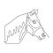 Continuous one line horse head minimalist design vector illustration minimalism style