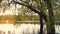 Continuous spring flood, river overflow, flooded trees, aerial view.