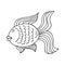 Contour. Beautiful fish. Marine theme icon in hand draw style. Icon, badge, sticker, print for clothes