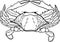 Contour black and white crab vector illustration.