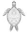 Contour black and white illustration of turtle. The object is separate from the background.