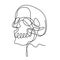 Contour drawing continuous one line with human skull.