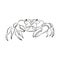 Contour drawing of a natural sea crab, graphic drawing of a representative of fauna for design