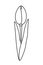 Contour drawing of an unopened tulip flower. Design elements for coloring or springtime greetings