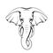 Contour elephant head with trunk and tusks. Wild mammal. Vector silhouette