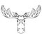 Contour engraving illustration of a moose head with antlers front view with hatching. Wild mammal. Vector outline silhouette