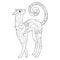 Contour linear illustration for coloring book with decorative domestic cat. Beautiful animal,  anti stress picture. Line art