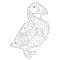 Contour linear illustration for coloring book with decorative puffin. Beautiful predatory  bird,  anti stress picture. Line art