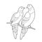 Contour linear illustration for coloring book with lovebirds. Two beautiful tropical exotic parrots,  anti stress picture. Line