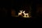 A contour of reindeer created from small bulbs on Christmas. Beautiful decoration on garden. Christmas toy for better holidays