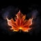 The contours of a red maple leaf dissolve in smoke on black, unusual floral background