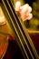 Contrabass