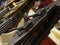 Contrabass closeup