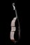 Contrabass. Isolated on black background