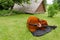 Contrabass musical instrument on summer grass