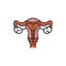 Contraceptive spiral color line icon. Intrauterine device. Birth control. Copper IUD. Safety sex sign. Pictogram for web page,