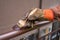 Contractor`s hand with brush that painting metal railing construction