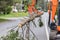 Contractors clear fallen trees in road