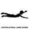 Contralateral limbs raises. Sport exersice. Silhouettes of woman doing exercise. Workout, training