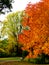 The contrast of Autumn with trees colored in green or bright orange