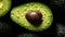 contrast dark avocado background