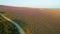 Contrast of lavender fields to forest. Shot. Top view of rural road separating lavender field from forest. Top view of