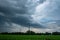 Contrast of Life: Young Cornfield Amidst Stormy Skies