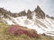 Contrast of pink twigs heather bushes with sharp rocky peaks