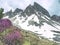 Contrast of pink twigs heather bushes with sharp rocky peaks